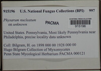 Image Associated With the Occurence